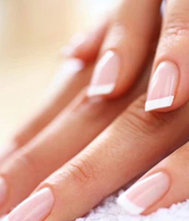 Formation prothesiste ongulaire - Kayliss Academy